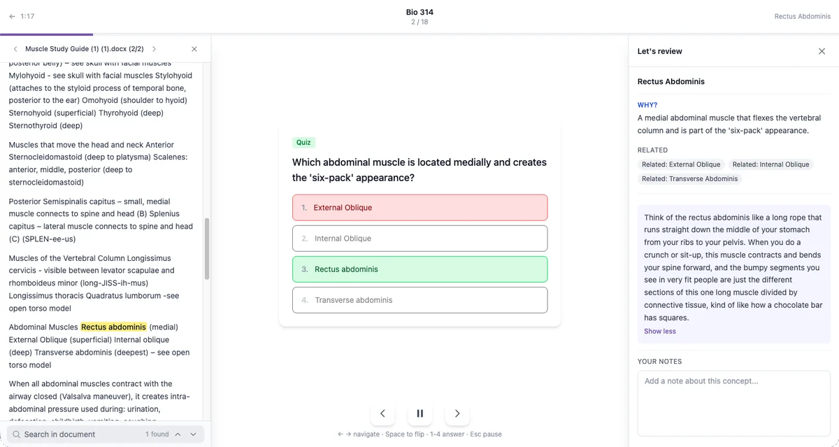 Glimpse web study session with a multiple-choice quiz, highlighted source document excerpt, and Let's Review side panel